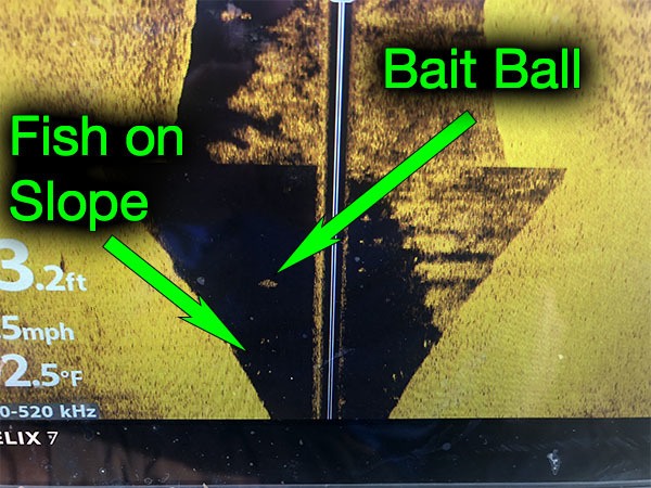 Bait Ball and Bass on Side Imaging Sonar Humminbird Helix 7 Bait Ball and Bass on Side Imaging Sonar Humminbird Helix 7