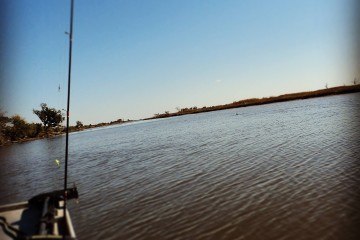 Bayou LaLoutre