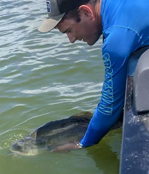 Catch and Release Big Bass Catch and Release Big Bass