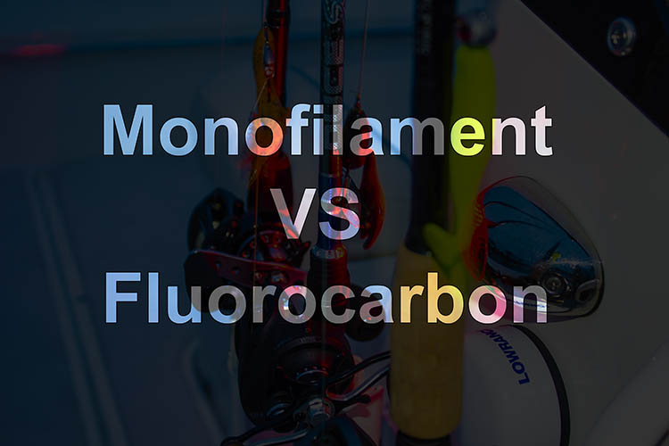 Difference Between Monofilament and Fluorocarbon