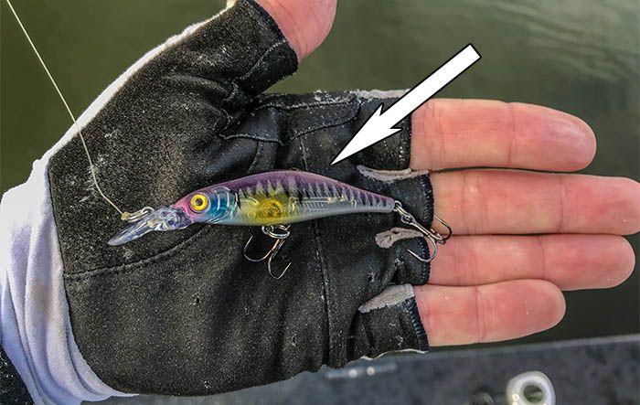 Matrix Minnow Jerkbait