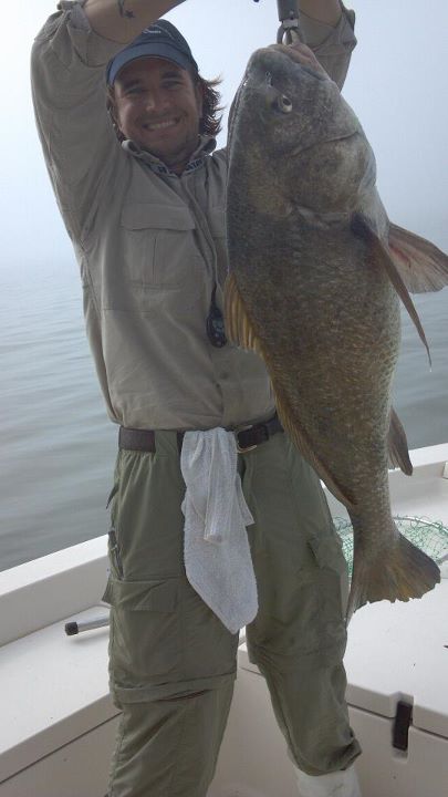 Monster Black Drum Bull