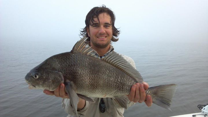 black drum puppy drum