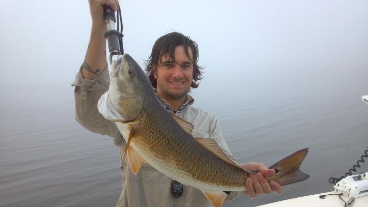 Redfish in the Fog