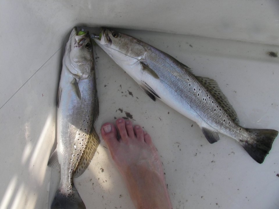 Enhance your Arsenal Tie on a Double Rig to Catch Speckled Trout