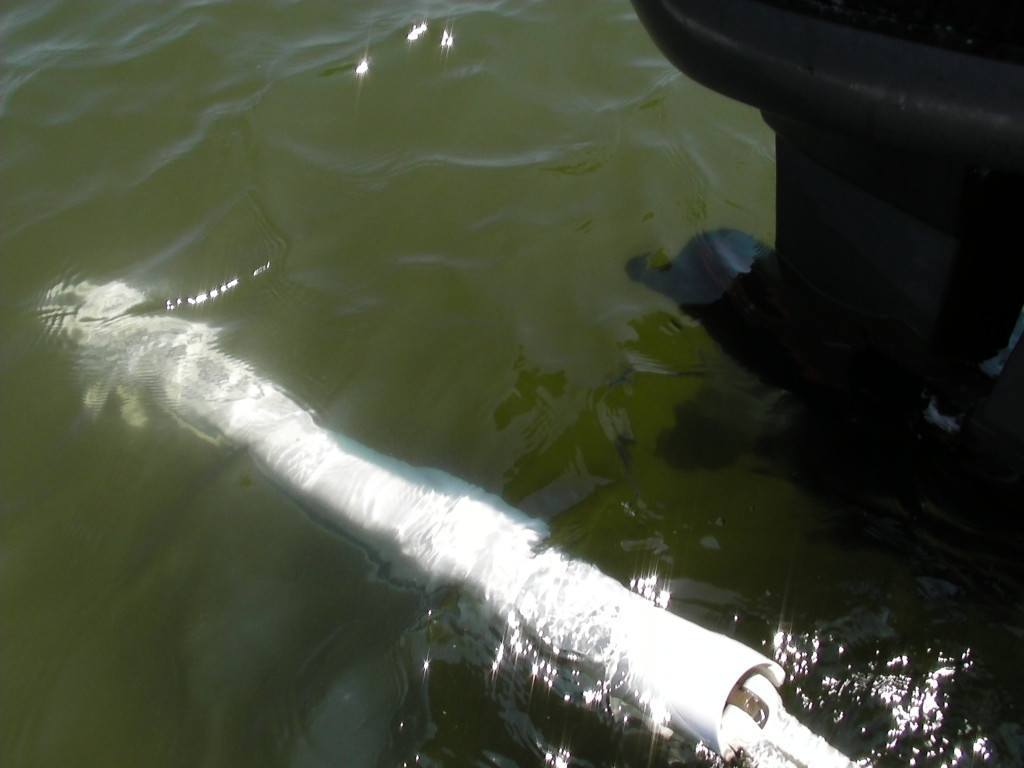 Power Pole Lower Unit Power Pole Lower Unit Clear Water