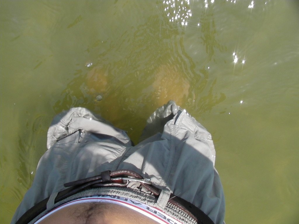 Feet Clear Water feet clear water green speckled trout