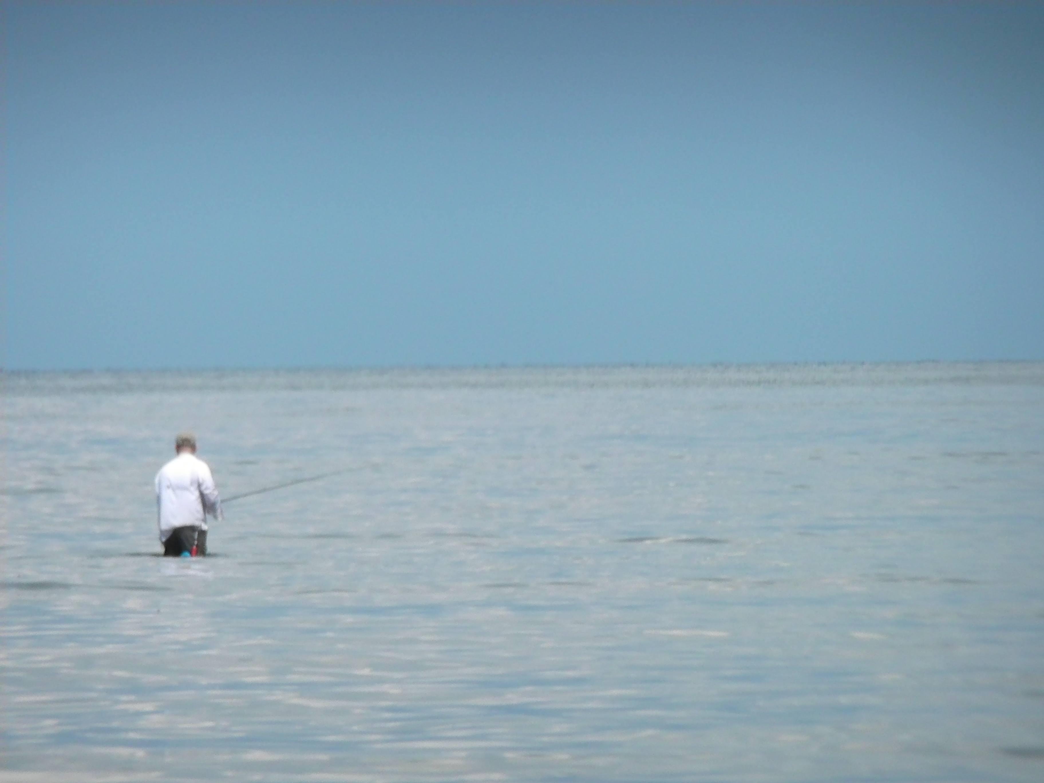 speckled trout breton island louisiana wadefishing