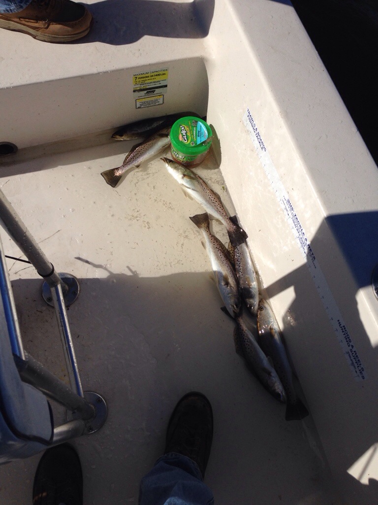 Speckled Trout on the Deck