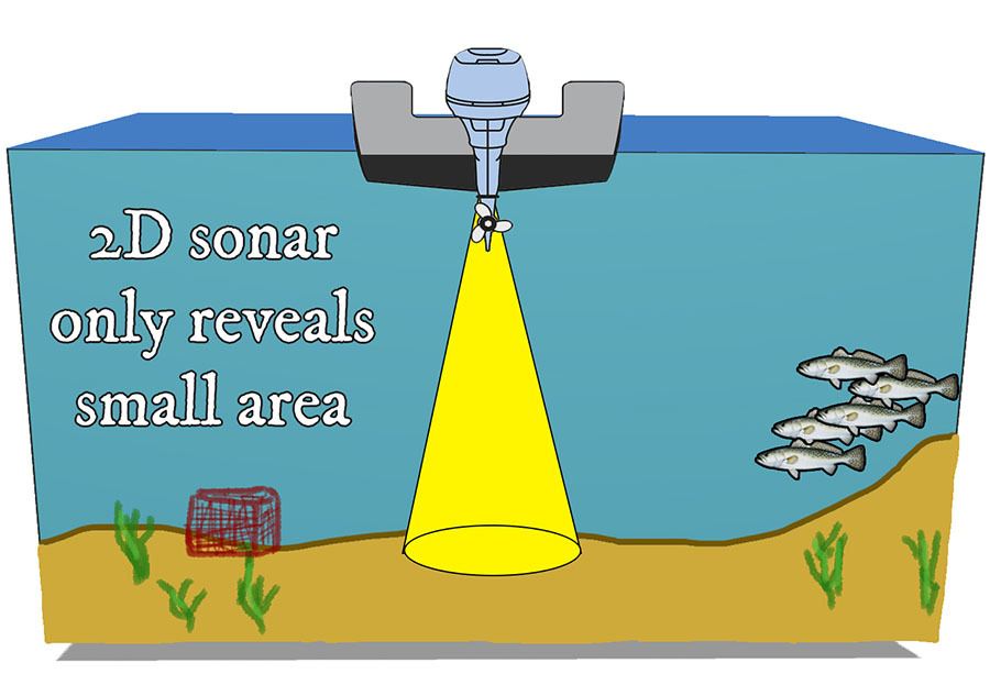 2d sonar speckled trout grass beds