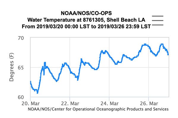 stable and rising water temperature of speckled trout spring pattern