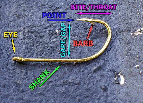 Comprehending Fishing Hooks Aspect 1 - Hook Measurement Louisiana picture regarding Fly Fishing Hook Size Chart Printable identify Knowledge Fishing Hooks Portion 1 - Hook Dimension Louisiana
