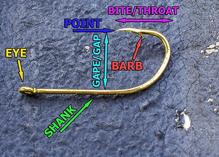 hook anatomy details parts sections hooks