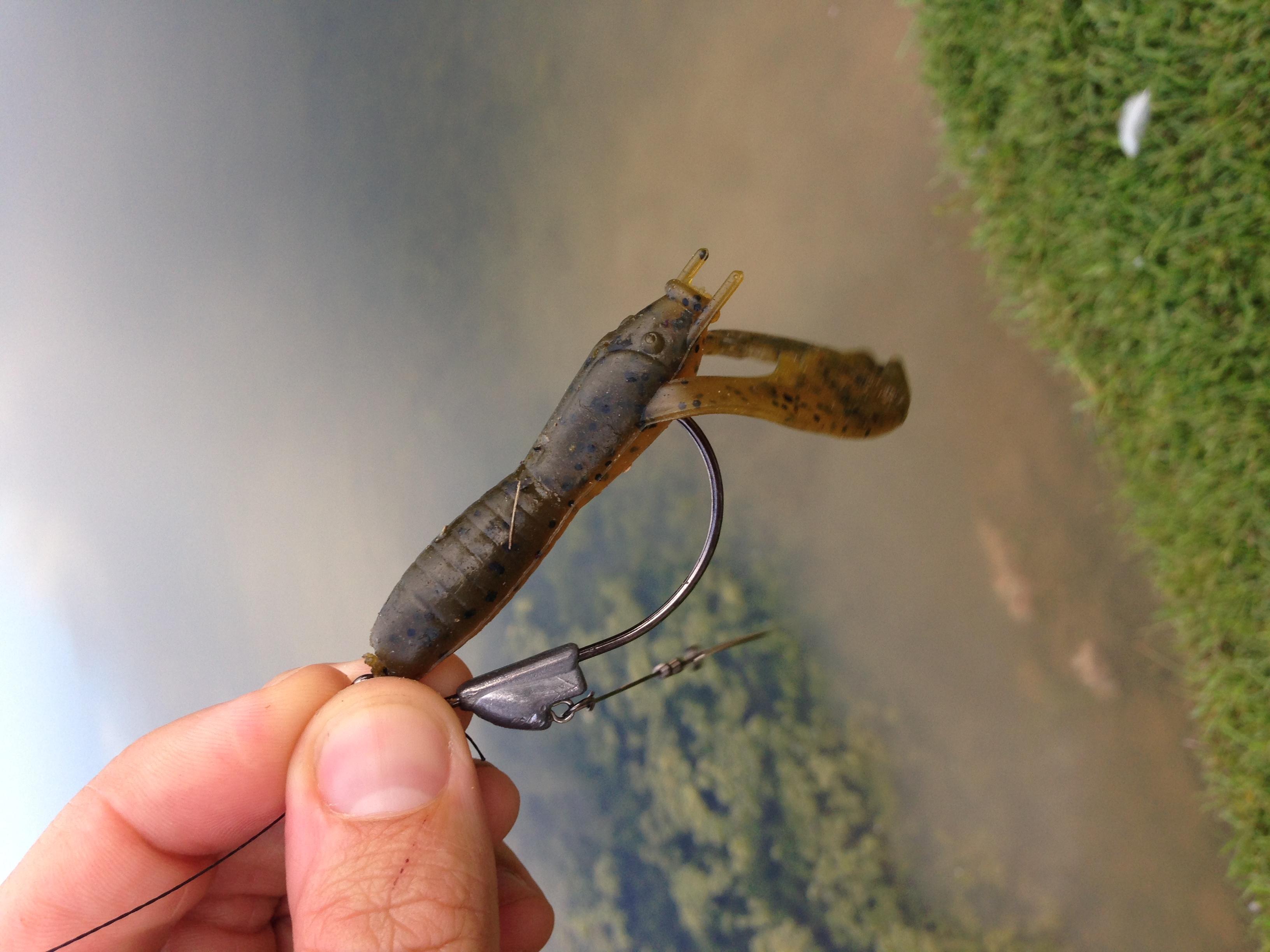 Baby Paca Craw aka Redfish Crack best lure