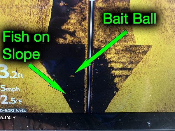 Bait Ball and Bass on Side Imaging Sonar Humminbird Helix 7