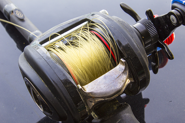 Spinning Reels vs. Baitcasters: Which Reel Is Best For Inshore