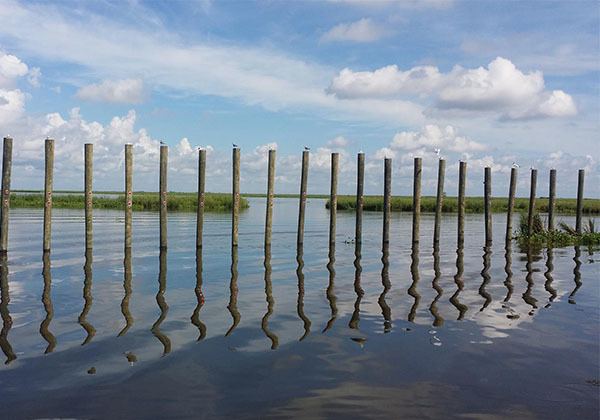 Delacroix Corporation Pilings Horsepower Canal