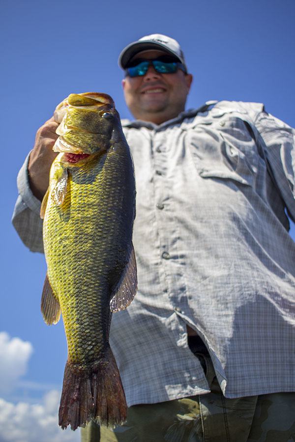 Delacroix largemouth bass Delacroix largemouth bass