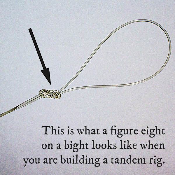 tandem rig figure eight knot