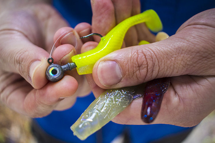 How to Experiment With Lure Colors (To Catch Speckled Trout) Louisiana Fishing Blog