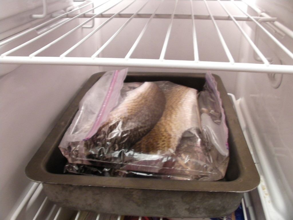 How I Like to Freeze My Fish Fillets Louisiana Fishing Blog