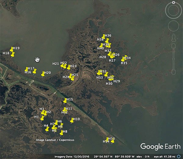 Find Speckled Trout in Louisiana