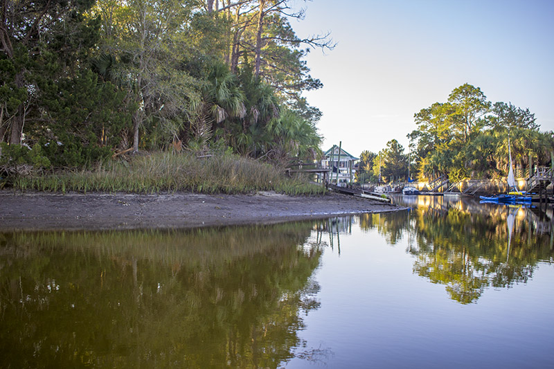 Florida Low Tide