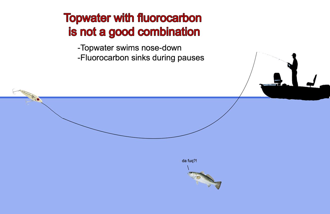 Fluorocarbon and Topwater Lure