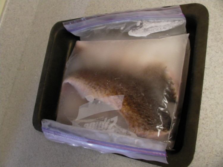 How I Like to Freeze My Fish Fillets Louisiana Fishing Blog