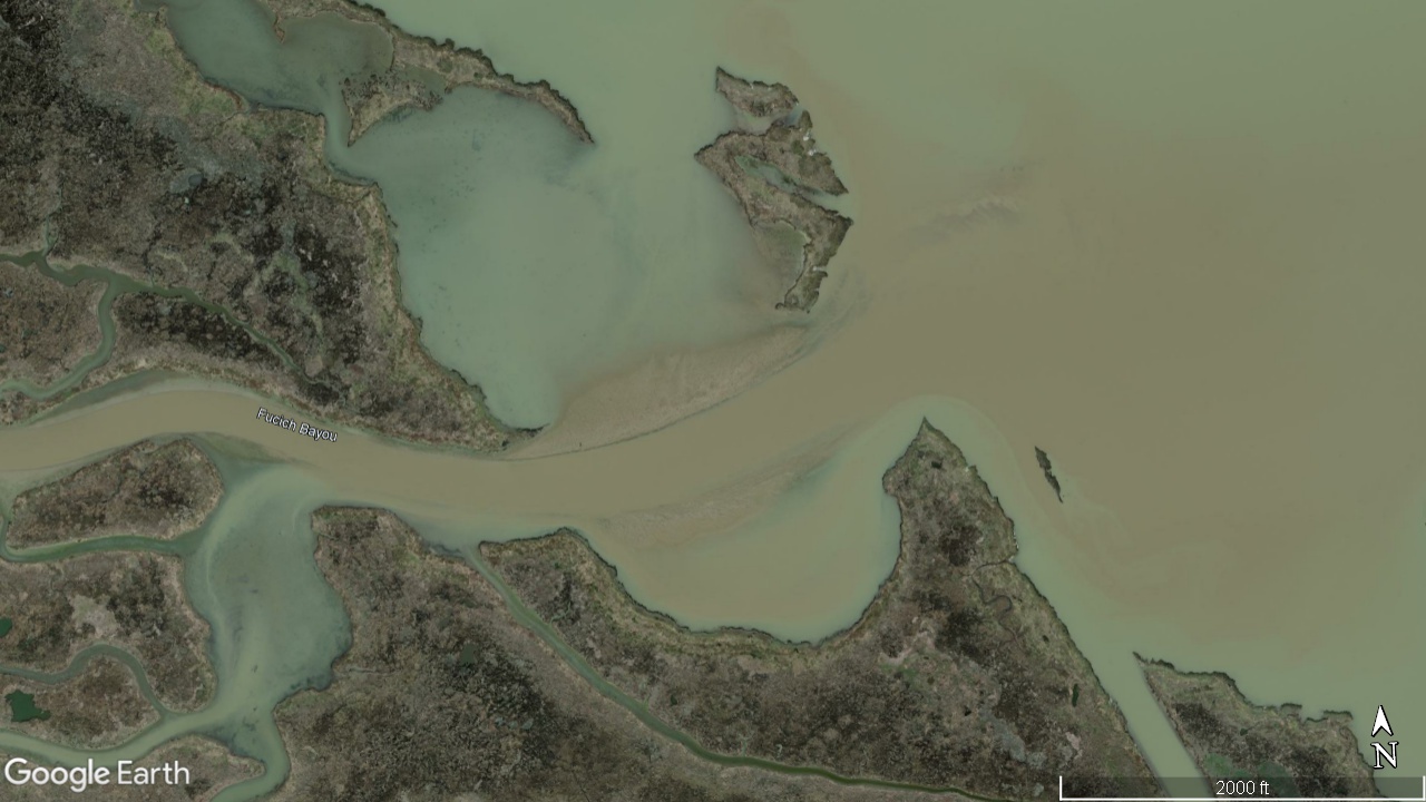 Fucich Bayou Bay Long Pointe a la Hache siltation Fucich Bayou Bay Long Pointe a la Hache siltation