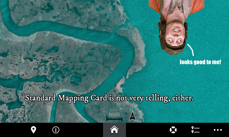 Garmin GPSMAP 742 Plus Standard Mapping Card Louisiana Grand Bayou Lake Borgne satellite imagery