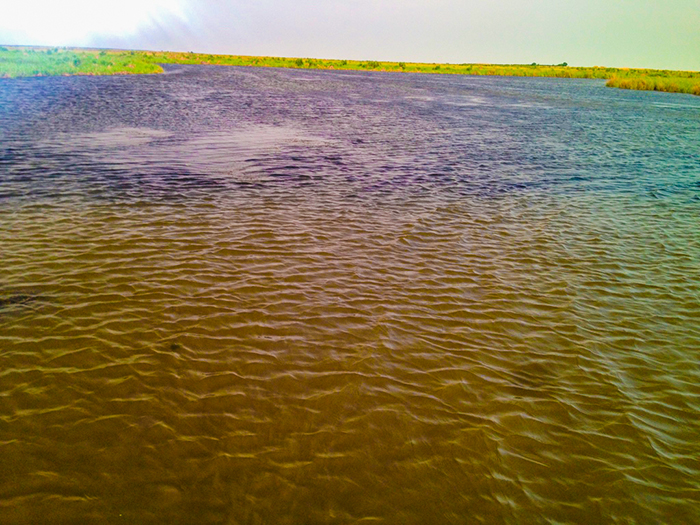 Grass Mat Cleaning Water