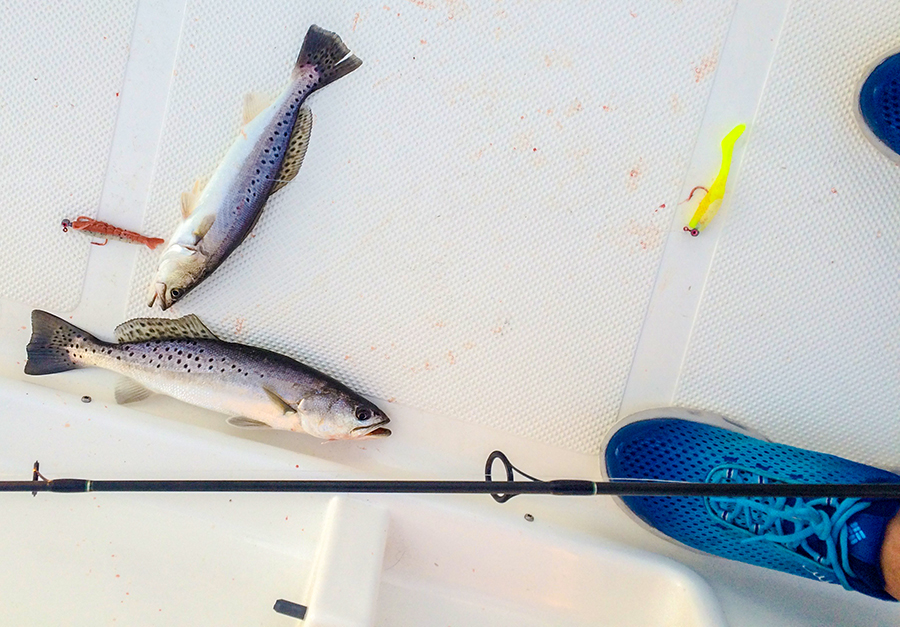 How to Tie a Double Rig Louisiana Fishing Blog