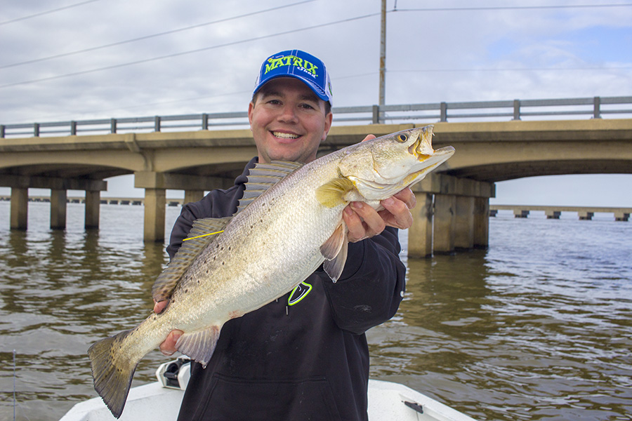 Hwy 11 Speckled Trout