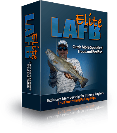 LAFB Elite Box