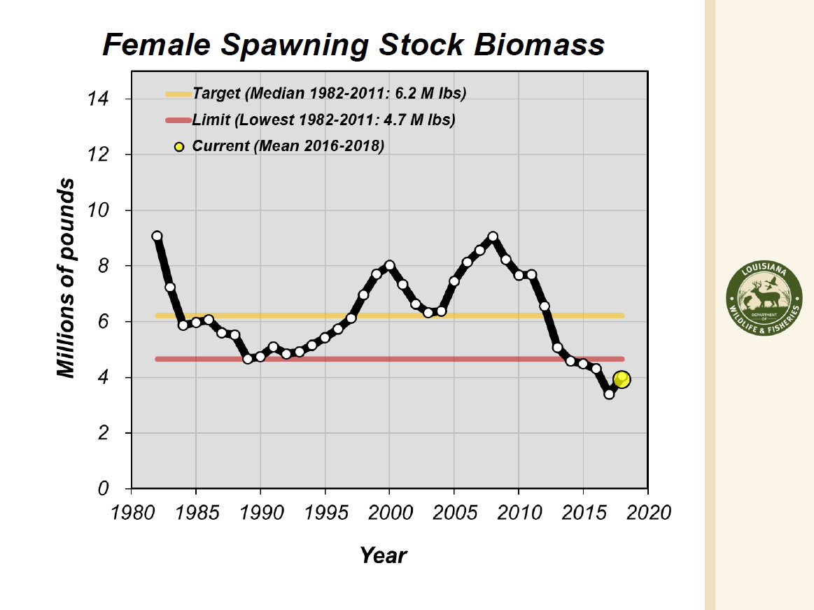 LDWF speckled trout female spawning stock biomass