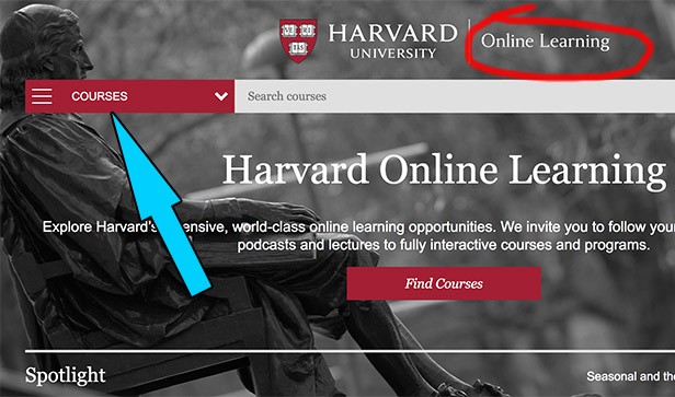 Learning Online Example