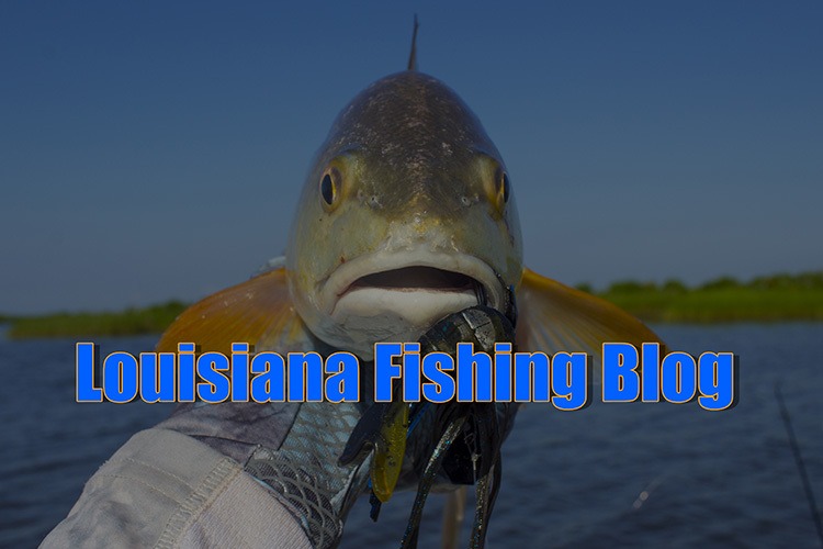 Catch More Speckled Trout & Redfish Louisiana Fishing Blog