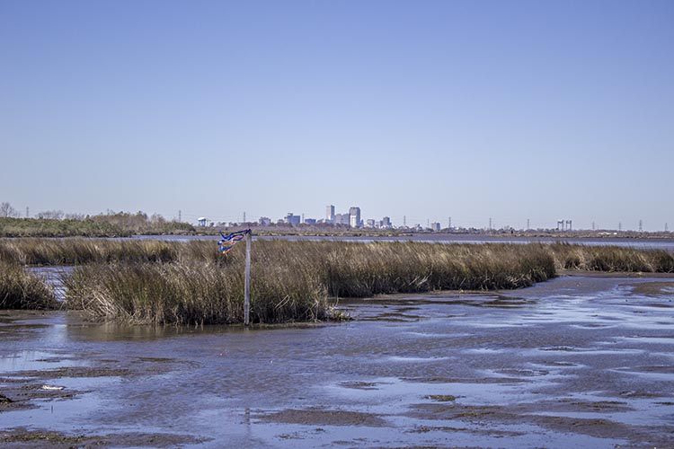 Low Water New Orleans Bayou Bienvenue