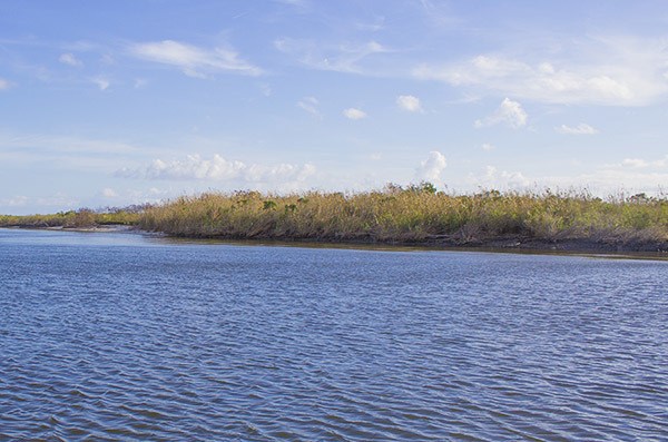 MRGO shoreline protects from strong wind