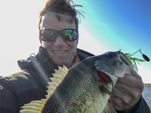 Marsh Bass Marsh Bass