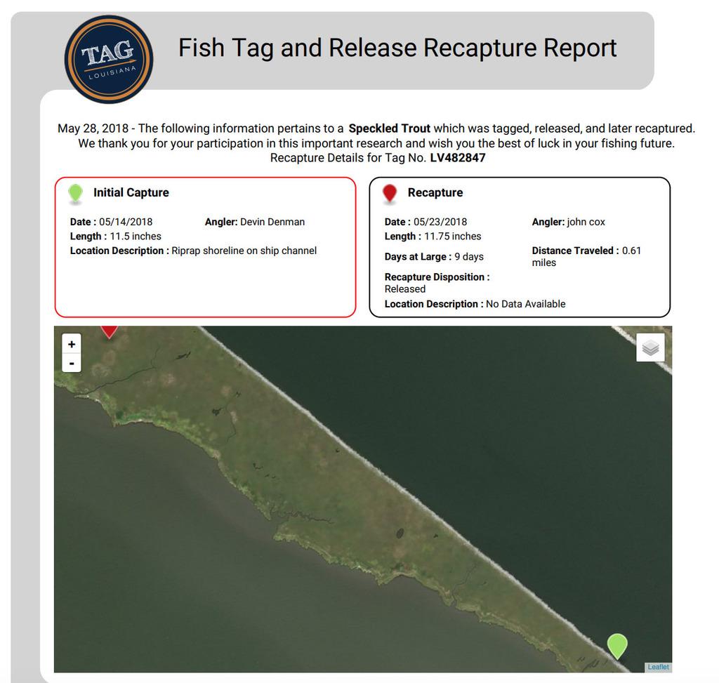 May 2018 Tagged Speckled Trout Recapture Report