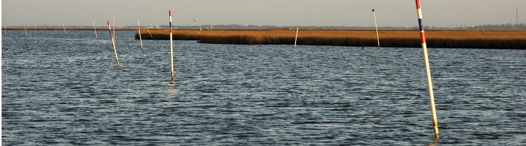 oyster lease leases oysters poles sticks bamboo willow