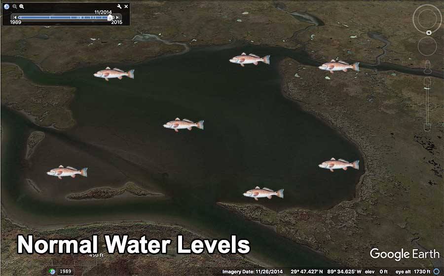 Redfish Normal Water Levels