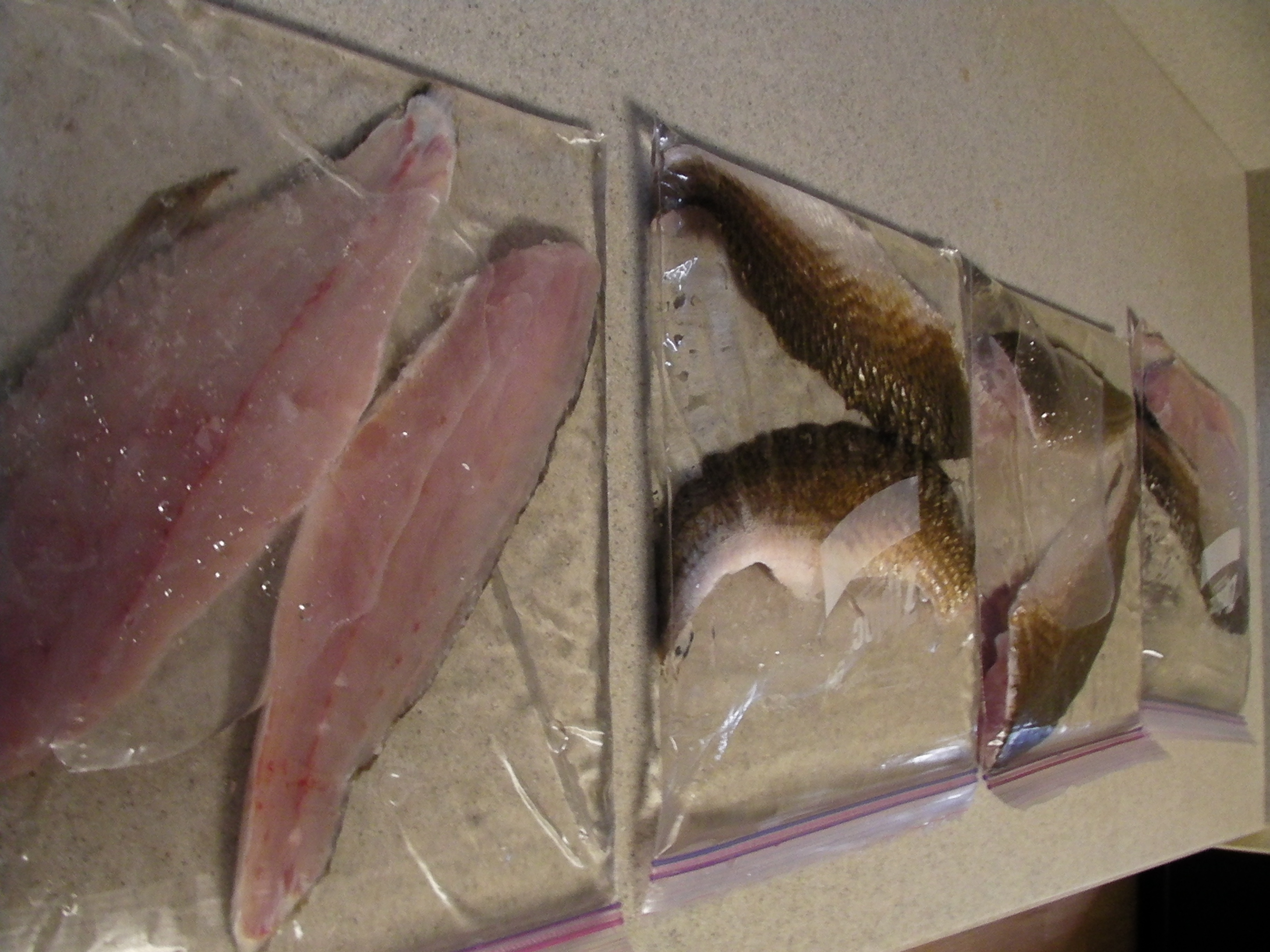 Redfish on the Half Shell