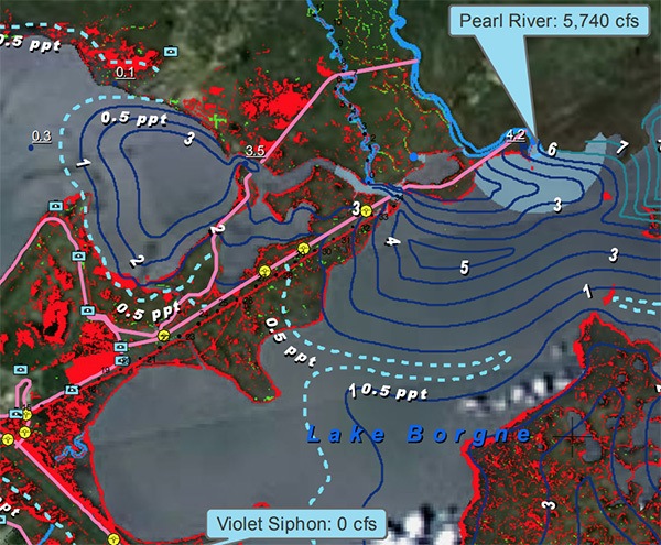 Map of the Rigolet and the mouth of the Pearl River, Louisiana and