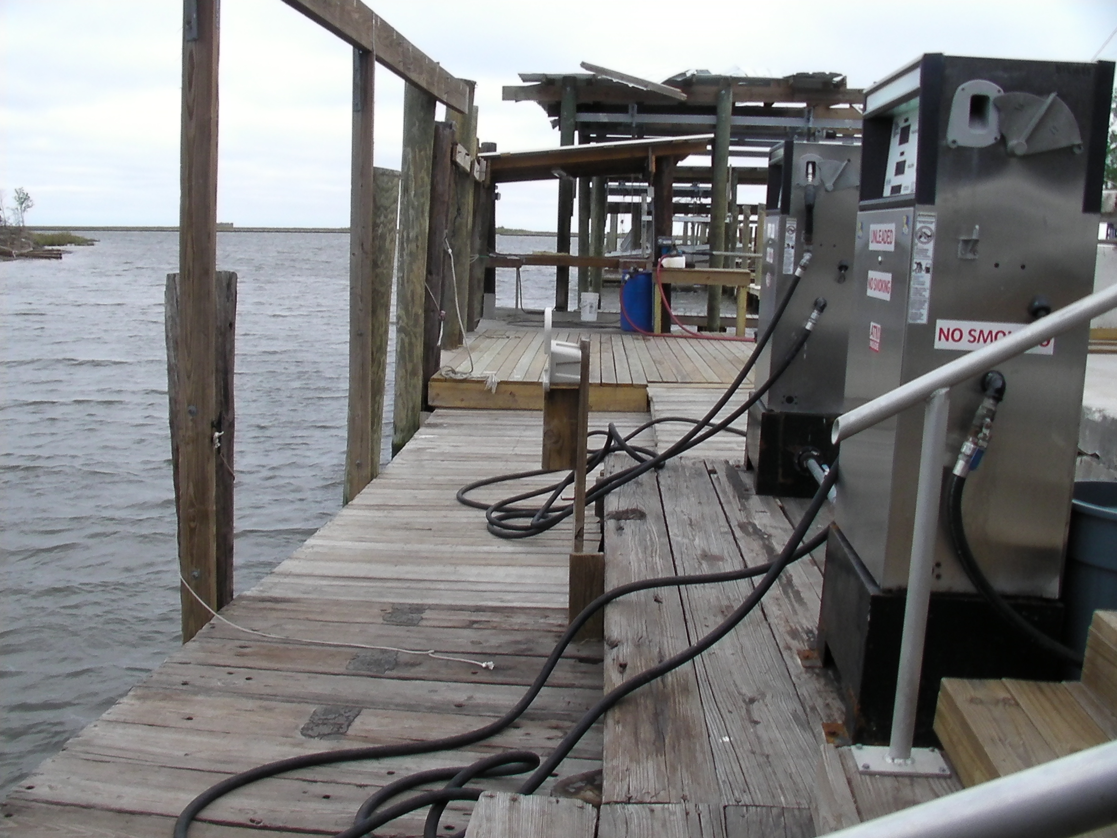 Fuel Ice Bait Live Shrimp at Campos in Shell Beach, Louisiana