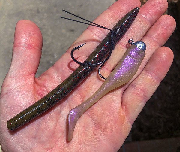 Senko and Matrix Shad Senko and Matrix Shad