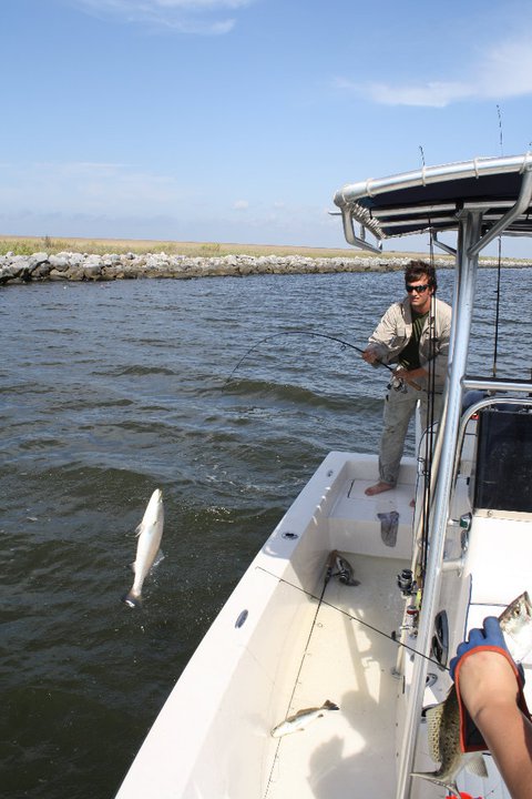 Speckled Trout on The MRGO Rocks Speckled Trout on The MRGO Rocks
