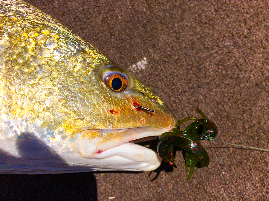 Three Lures Redfish Love (and you don't use)